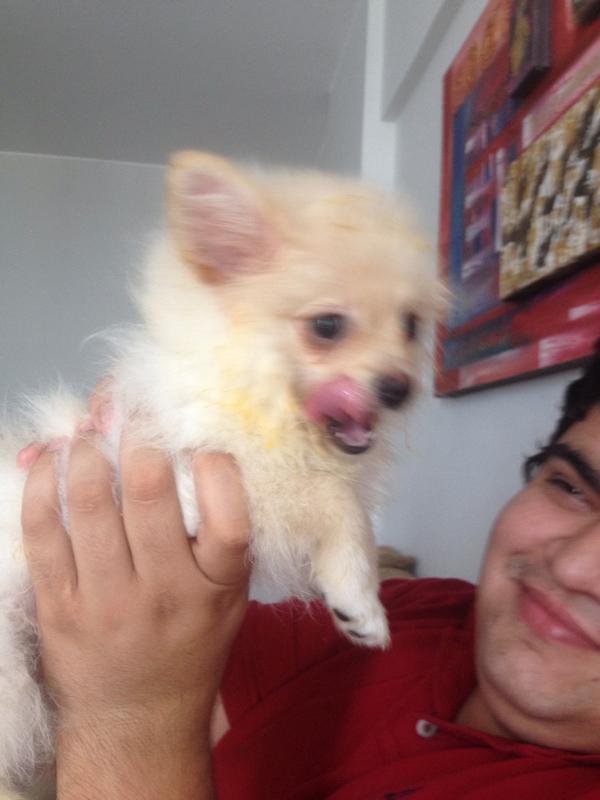 AmandaNeiva_'s tweet photo. Eu to só a manga mamis, me deixa comer 🐶 http://t.co/VpBzrPNbp6