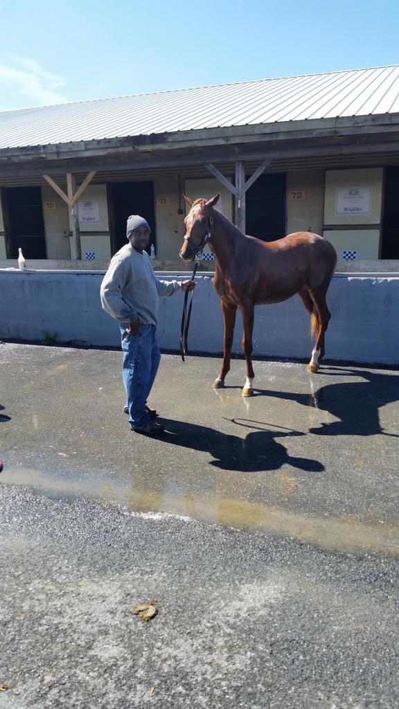 MarylandTB's tweet photo. Now. Don't roll for the next 4 days. #coltsareback @FasigTiptonCo http://t.co/zOvzhOHTFm