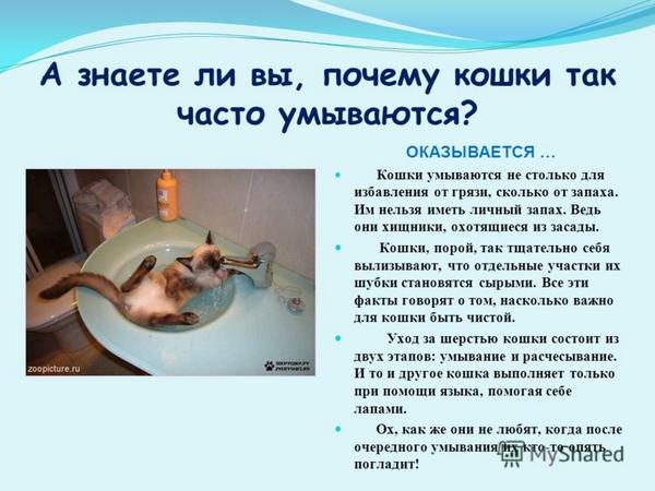 Умывание лица. Почему после умывания. Умывание лица. Почему после умывания. Почему после умывания.