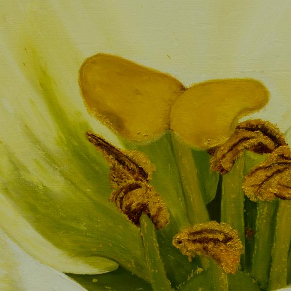 3/4 en 5 okt. atelierroute <a href="/WaardArt/">WaardArt</a> <a href="/GeldermalsenNL/">Geldermalsen</a> <a href="/stroomhuis/">Stroomhuis Neerijnen</a> , werk van Wil v.Mourik