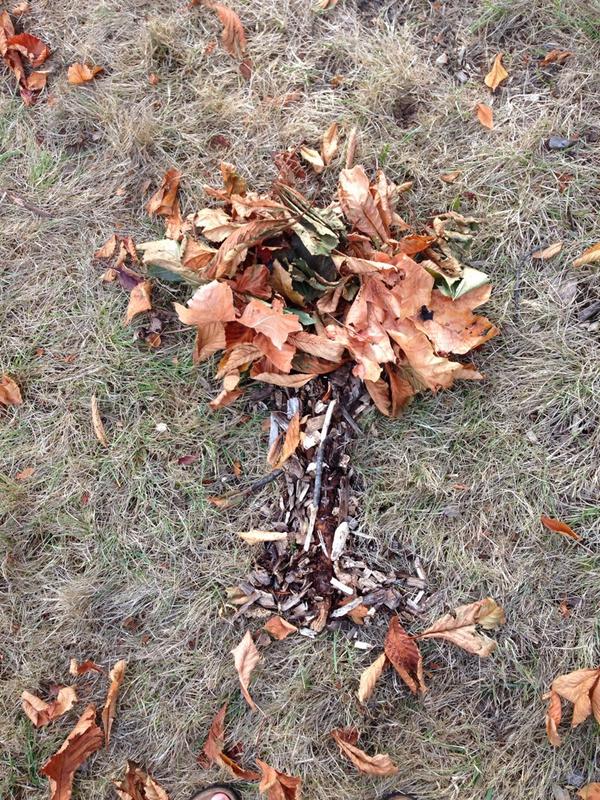 lawrencescience's tweet photo. #AutumnArt in science today! Tree from a tree, so meta. http://t.co/1GVt1MBYsU