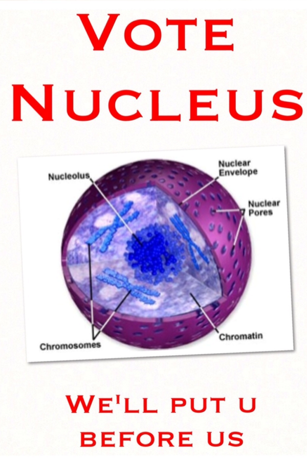 yaboinucleus's tweet photo. http://t.co/B6vDavLHLr
#murphpak @murphyapbio http://t.co/s4EgYMCqRb