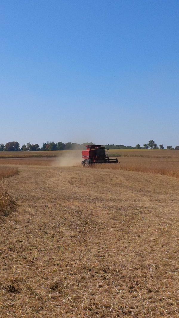 Soys coming of at woodstock