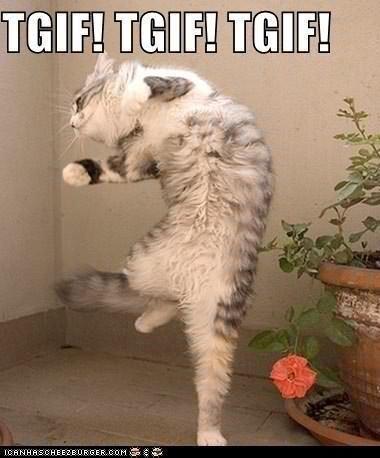 OregonHumane tweet picture