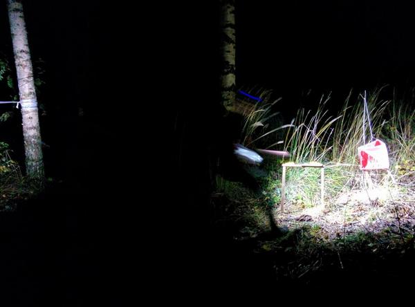 Viimeisellä rastilla.