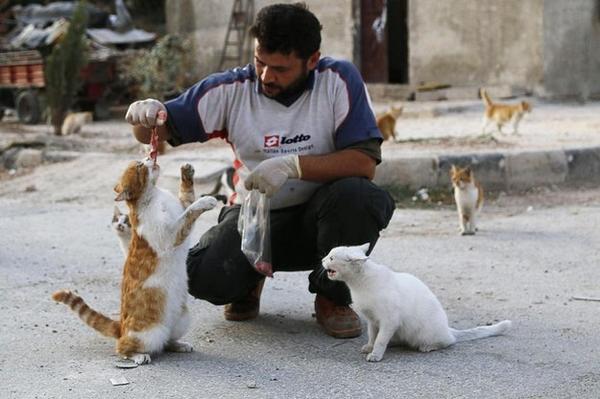 BuzzFeed tweet picture