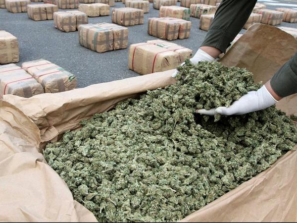 MarijuanaFarmers tweet media