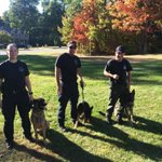 Photo by VSP K9 Team (@VSPk9)