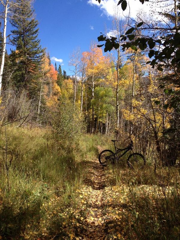 c_kinzler's tweet photo. #VG3RDay #globalteam #coloradomtnbiking http://t.co/MS6vHoHdxM