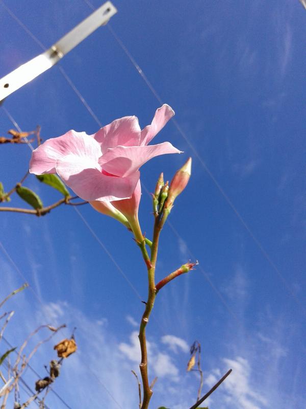 World_image_br's tweet photo. http://t.co/LXxhWssayo