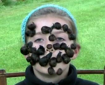 仰天 世界のギネス記録さん の最近のツイート 9 Whotwi グラフィカルtwitter分析 仰天 世界のギネス記録さん の最近のツイート 9 Whotwi グラフィカルtwitter分析