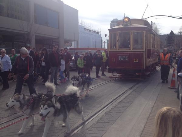 VicMetcalf_NZ's tweet photo. Huskies pulling the tram for start of #NZIcefest. Great turnout. So much fun @NZIceFest #Antarctic http://t.co/ckQhJJg8N0
