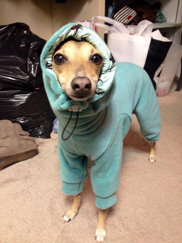 OrigCreativo's tweet photo. Hace Frio!!! http://t.co/kq83CPVDnp