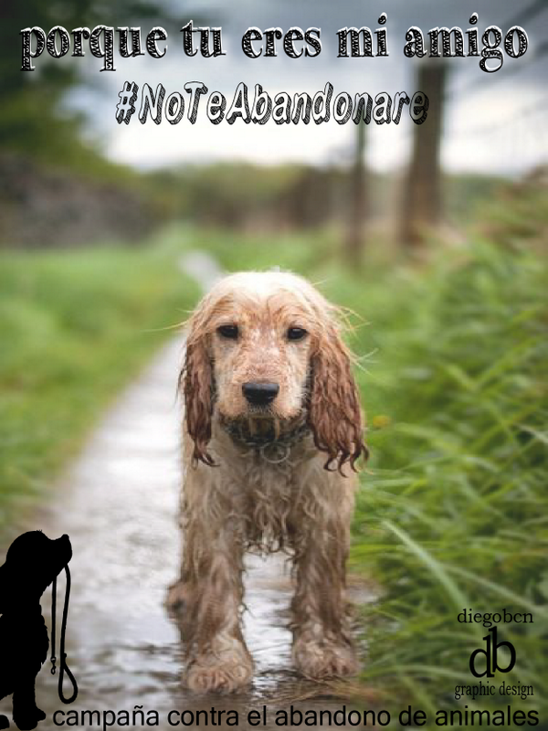 marketing32bcn's tweet photo. @LetyHilton #NoTeAbandonare pásalo gracias http://t.co/3DTgqu1sTK