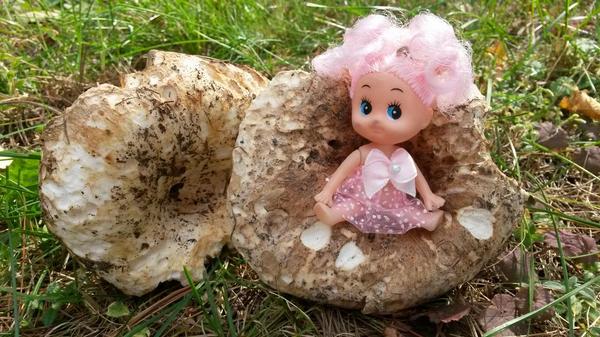 #CreepyEdith spent the day with these two 'fun guys' #KeychainAdventures #twoisbetterthanone #mushroomfun