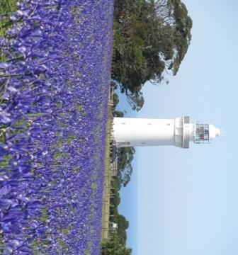 TNeedleCraft's tweet photo. Back from hols... http://t.co/n5q90yIQQR