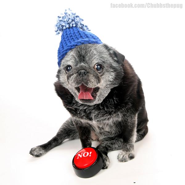 ChubbsTheWampug's tweet photo. WHASSUUPPP?!?! IT'S #CRAZYHATFRIDAY!!!!  Go get your crazy hat on and post a photo!! http://t.co/QBF6O8yFQe