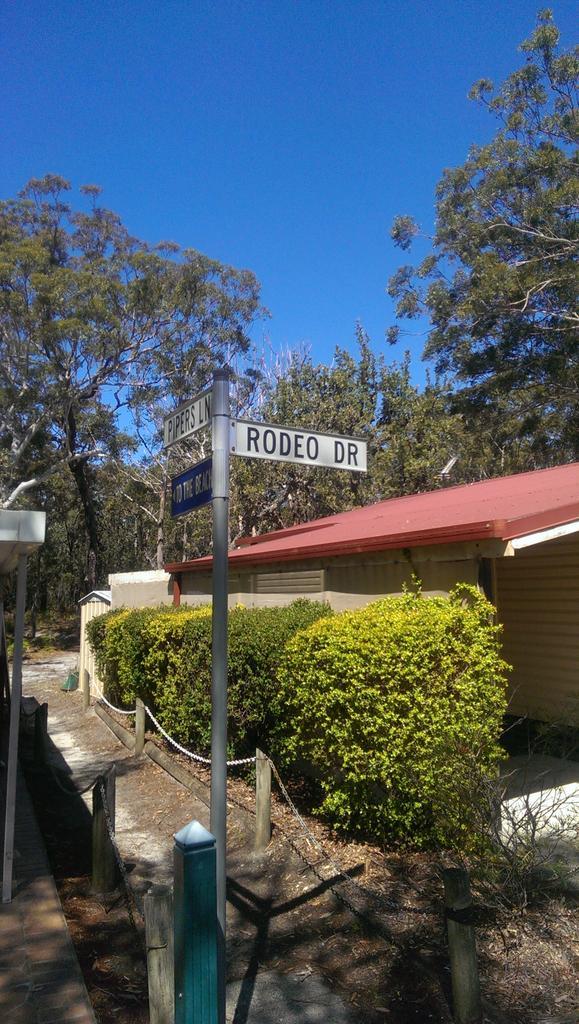 lizziepops's tweet image. The other #RodeoDrive #Myola #JervisBay @sydneyswans #AFLGrandFinal #goswans
