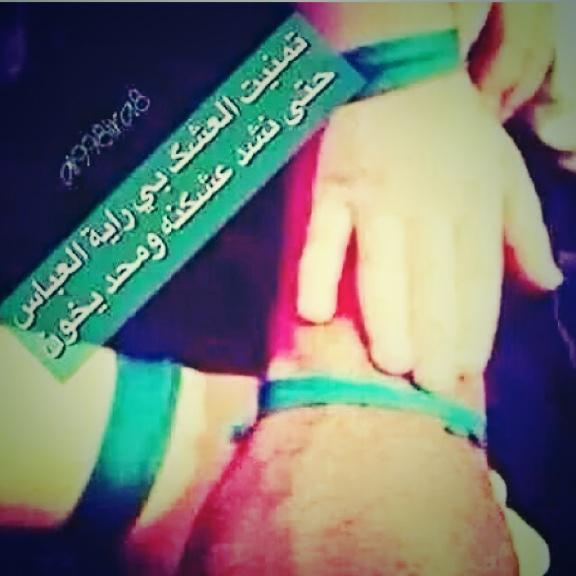 السلام عليك با ابو الفضل العباس