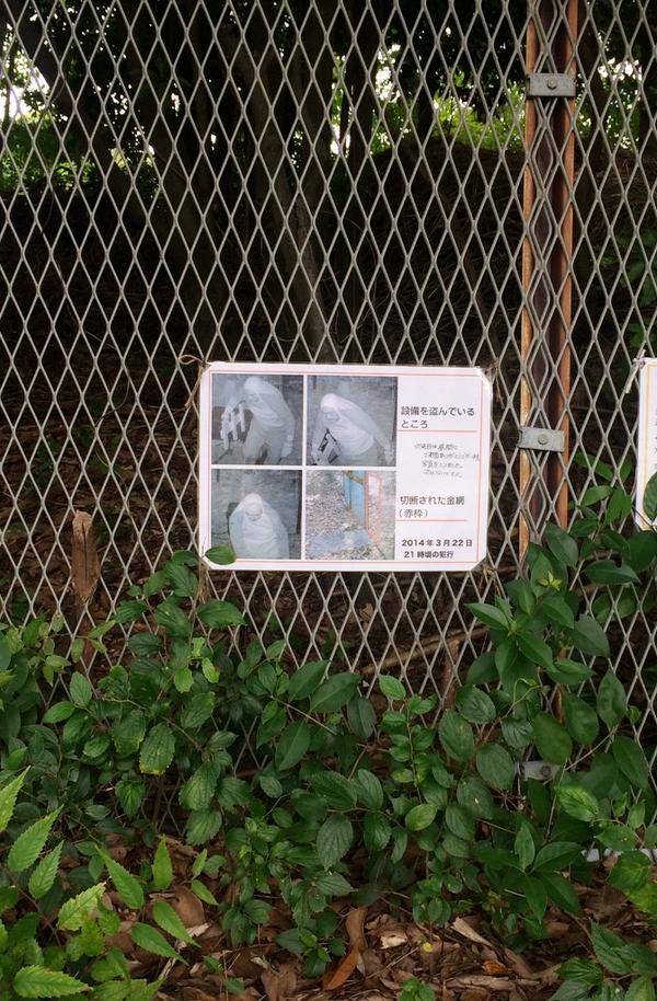 KBT_Yukari's tweet photo. 情報求む！っていう張り紙がしてあったから「かわいそうに、インコ逃げちゃったんだねー。」って話してて、近くまで見にいったらオッサンだった。 http://t.co/8AY9O5CVAI