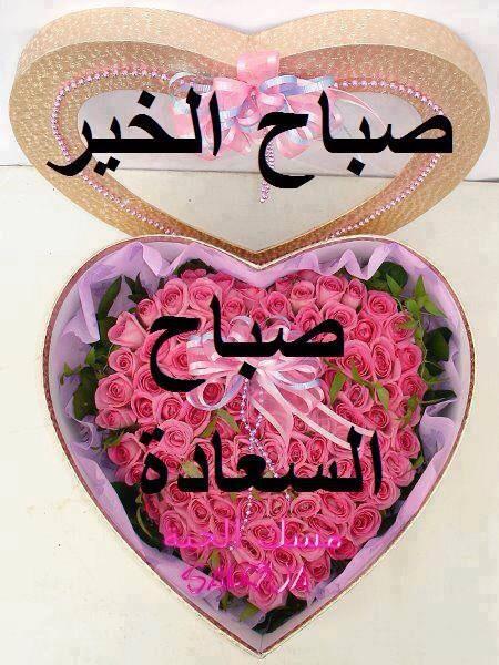 alog_amer tweet picture
