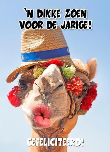 @xRaytjex vanhartegefeliciteerd met je 30 ste verjaardag 🎈🎉💋💋fijne dag!