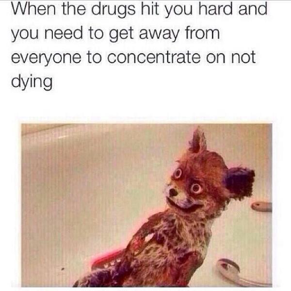 NonsL's tweet photo. "@Loni_Lee: Cc@NonsL :''''D http://t.co/qnA8nEBPbJ" alriiight? ;)