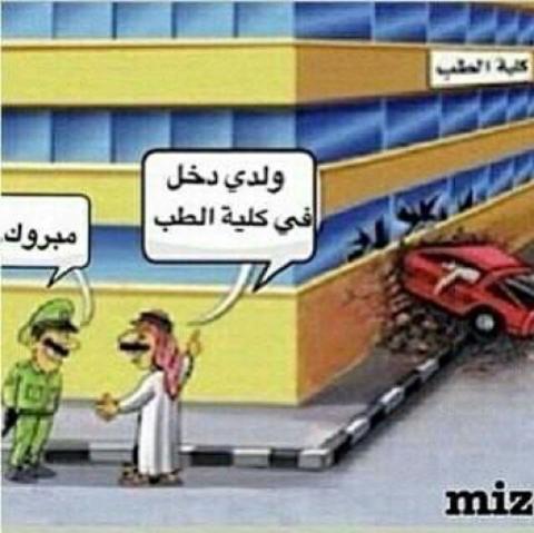 sfefbd tweet picture