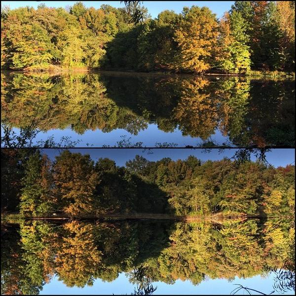 tomparker07's tweet image. Specular Reflection. #whichisreal #rightsideup #upsidedown #nofilter #walkingthedog ift.tt/Yqzin2