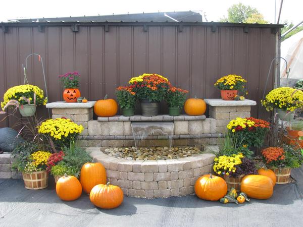 CountrysideLL's tweet image. Decorate for fall. Great selection of #pumpkins, #mums, and fall plants.