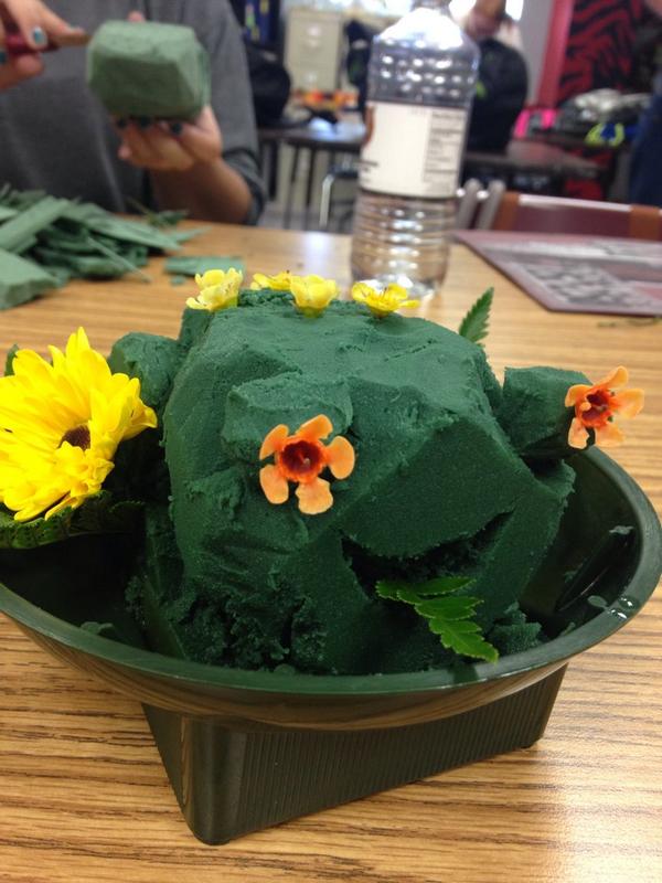 big_mirm's tweet photo. Hi I made a frog in floriculture #HelloLeroy http://t.co/4c8SqfBYP6