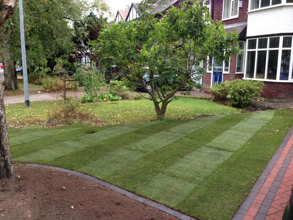 Quick Saturday morning job, 3 ton of root zone, 30 metres of turf 👌