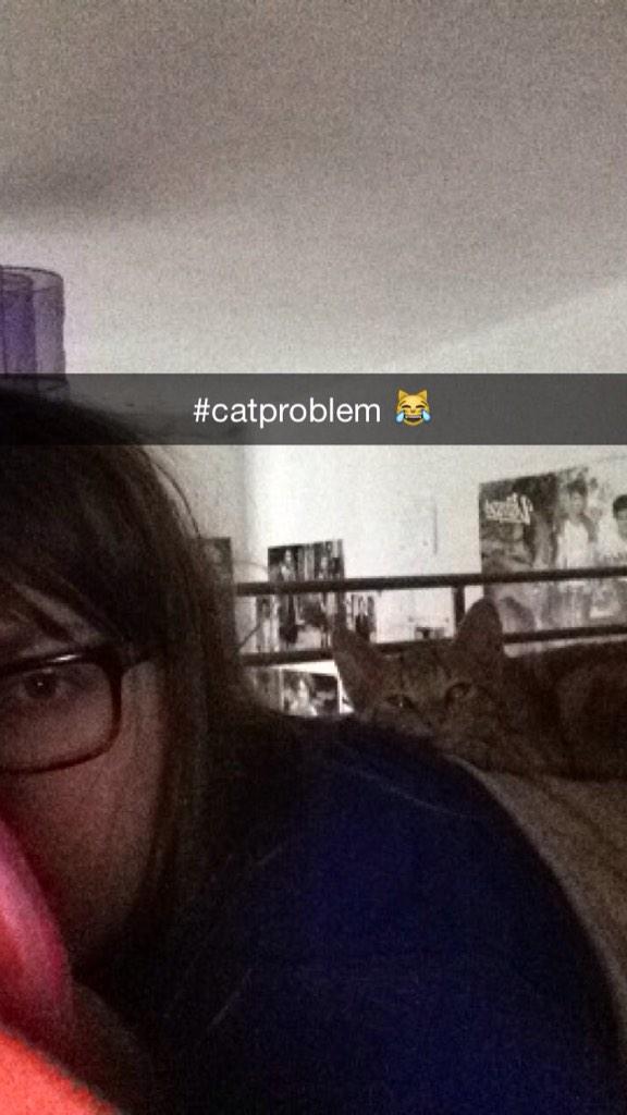 Laumavie's tweet image. #catproblem