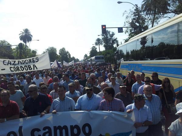 RT <a href="/tuslances/">Tuslances.com caza y pesca</a>: Colapsando Sevilla por la #caza y el #silvestrismo <a href="/andaluciacaza/">Federación Andaluza de Caza</a> <a href="/jmmanchenoluna/">Jose Maria Mancheño</a> <a href="/LancesCanalSur/">Lances Canal Sur TV</a>