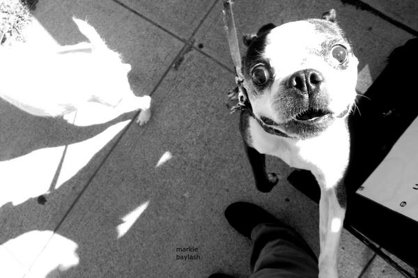 Manny is always having fun. I think he is always looking for something to eat.