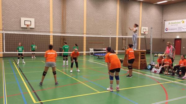 Volley Zuid tweet media