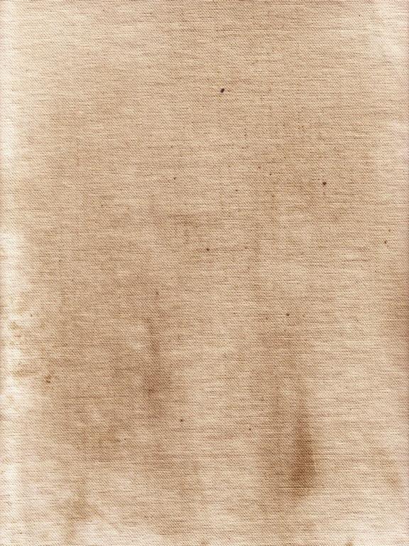 Mathijs Koper tweet media