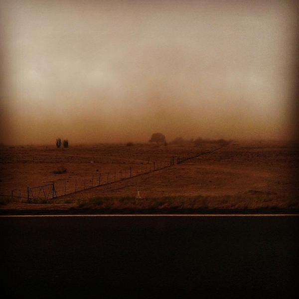 SoloRower tweet media