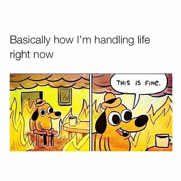 My life in a picture!