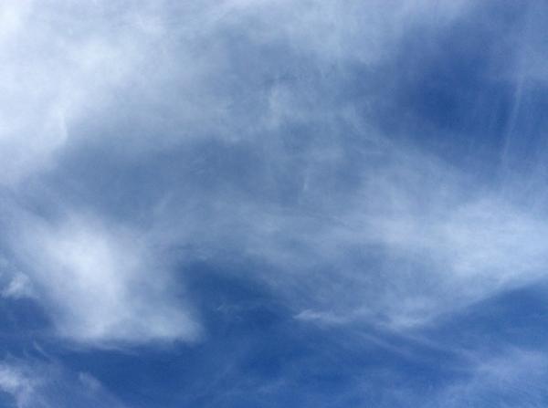 Marcella Sullo tweet media