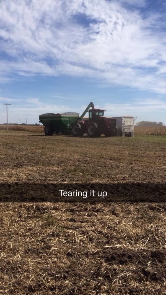shaemlear's tweet photo. #learfarms http://t.co/bYwlDtSYbz