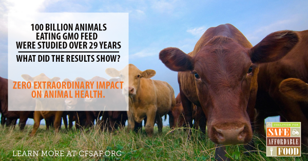 SafeAffordable's tweet photo. ICYMI: Get the truth about GMO farming: http://t.co/RJva9cbnuh http://t.co/OftxQfFhJ9