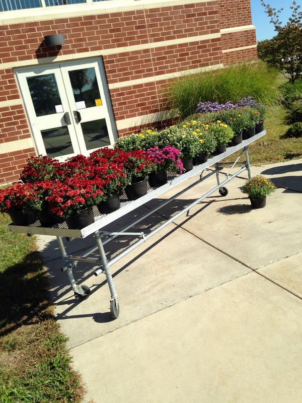 Quinn Cashell tweet media