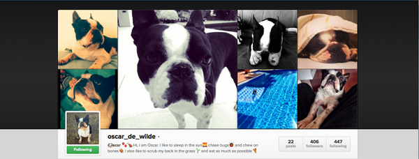 InstagramRandom tweet picture