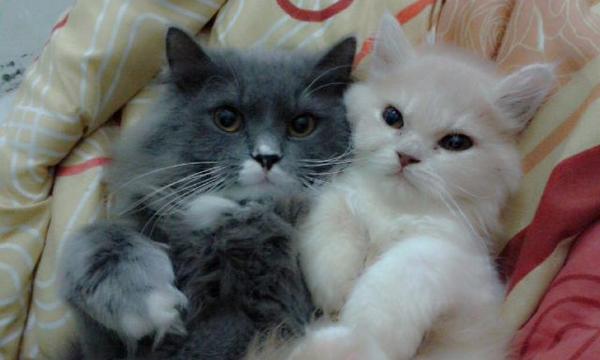 yethaaulia's tweet photo. http://t.co/XOV6XIYx79