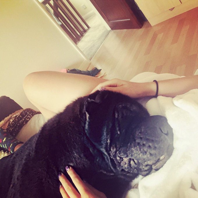 Who I cuddle with while @stevenjbgoode is abroad ☺️😘👍😎😂 #missyousomuch courtesy of H @Helen_Wood86 🐣<a class="tags" target="_blank" title="On Twitter" href="/?out=eyJ0eXAiOiJKV1QiLCJhbGciOiJIUzUxMiJ9.eyJpYXQiOjE3MjI5MDA2NTEsImlzcyI6InR3cG9ybnN0YXJzLmNvbSIsIm5iZiI6MTcyMjkwMDY1MSwiZXhwIjoxNzU0NDM2NjUxLCJyZWRpcmVjdF91cmwiOiJodHRwczovL3R3aXR0ZXIuY29tL3N0ZXZlbmpiZ29vZGUifQ.r33ucvmFc7pG266kNZ4Ne1o8mZq1JUIDqQ_UT9qnjL6jzXF_aaYBq0bbBhSj3TRlxJFoK5BYWB9UkK21TgdQFw">@stevenjbgoode</a><a href="/tag/missyousomuch"class="tags"><span>#missyousomuch</span></a>