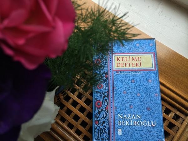 Resim Boyutlandırılmıştır. Orjinal Boyutunda Görüntülemek İçin Tıklayınız.