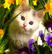 IlilMuflihatin's tweet photo. Kapan bahagia untukku http://t.co/IBO0iZ8ESe