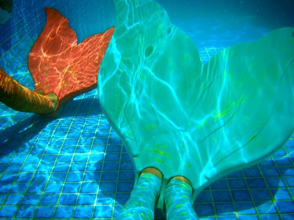 MerFinsUAE's tweet photo. #Gift the #Mahina #Mermaid #MerFin this #Eid #EidAlAdha #EidMubarak #ShopOnline @Hunnionline http://t.co/CjA8Ua1sIS http://t.co/nxEcdaPzC8
