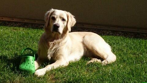 badbertl's tweet image. 